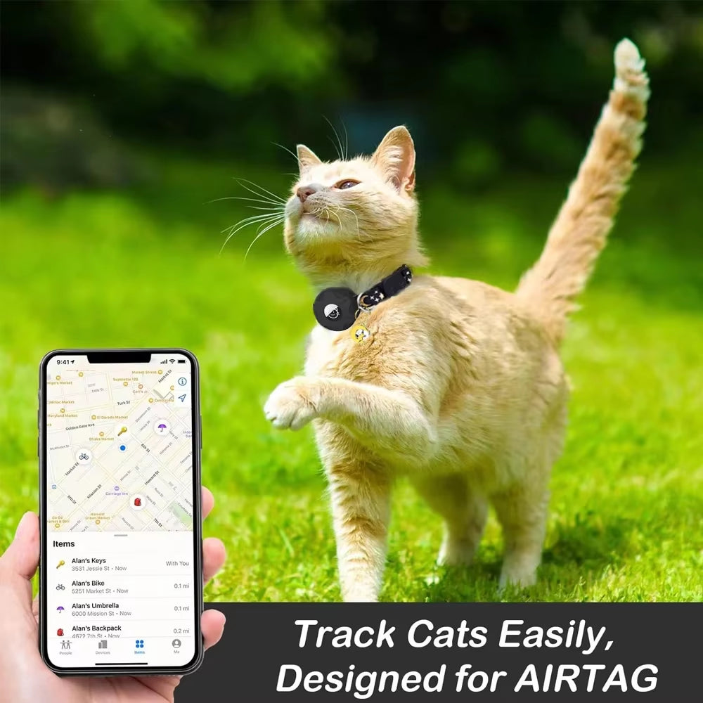 Apple Tag Pet Collar & Moon Ornament for Kitten Collar