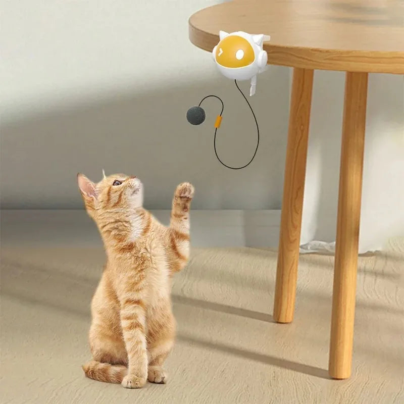 Interactive Electric Cat Toy with Replaceable Hair Ball