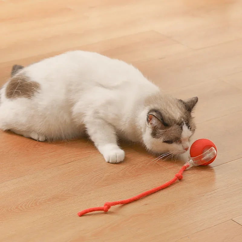 Rechargeable Smart Cat Toy Ball Kittens Teasing Rolling Ball Chew-Proof Boredom Relief Pet Interactive Toys